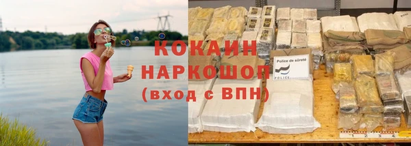 винт Ельня