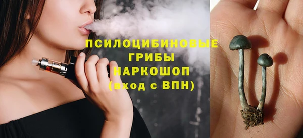 винт Ельня