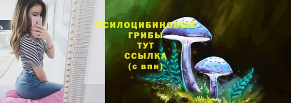 Альфа ПВП Дмитров