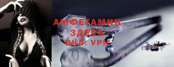 винт Ельня