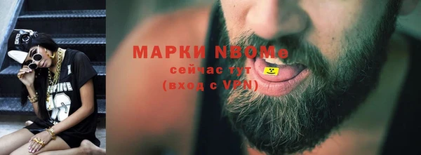 винт Ельня