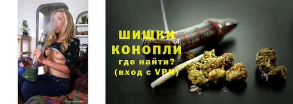 винт Ельня