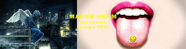 гидропоника Елабуга