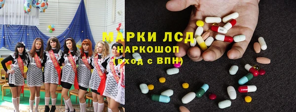 гидропоника Елабуга