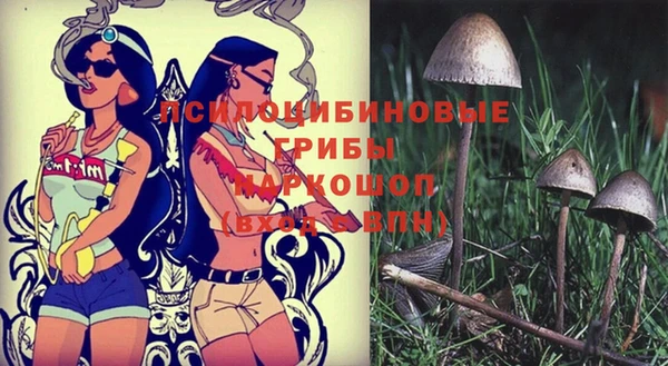 мескалин Елизово