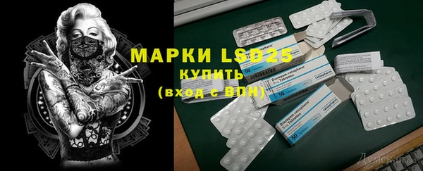 винт Ельня