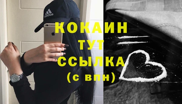 винт Ельня
