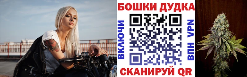 Бошки Шишки семена  блэк спрут ТОР  Сызрань  купить  цена 